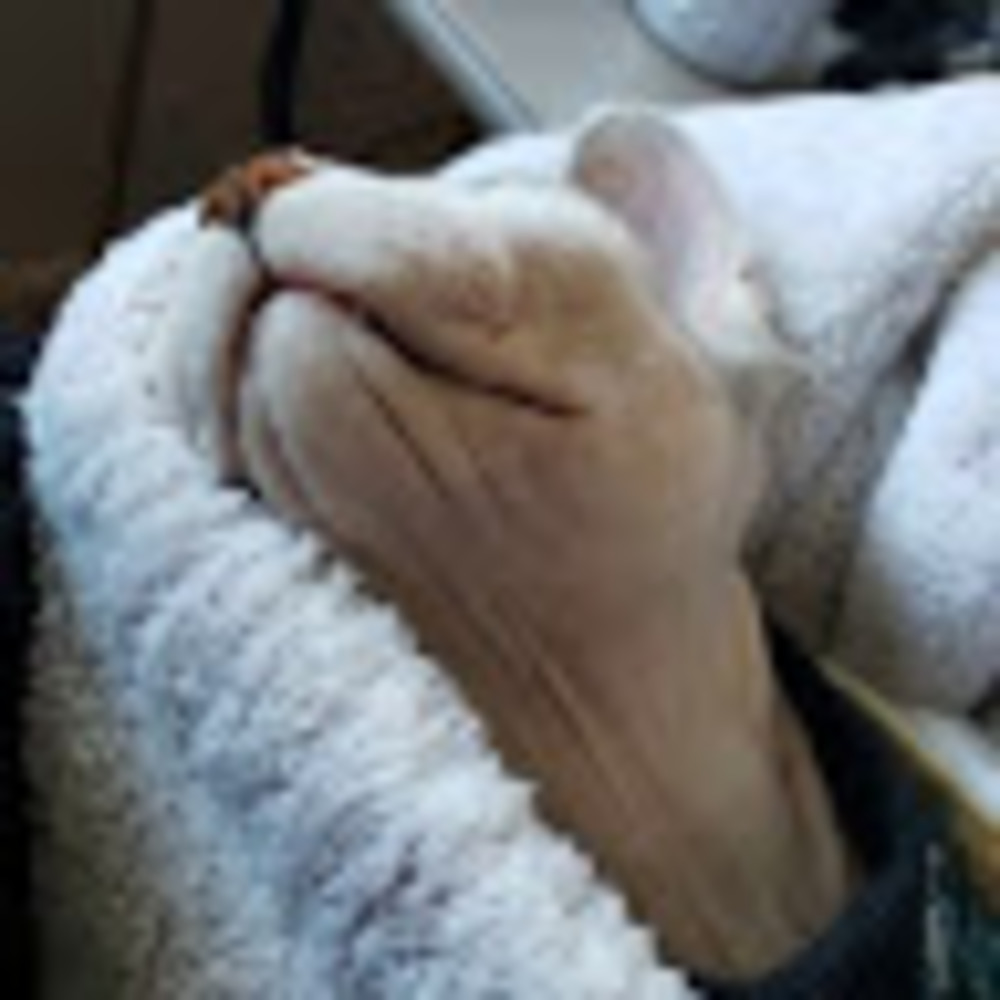 Meet your Posher, Vanessa